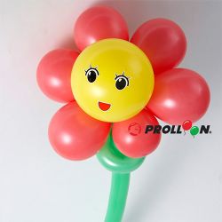 Balloon Bouquet, Flower Balloon